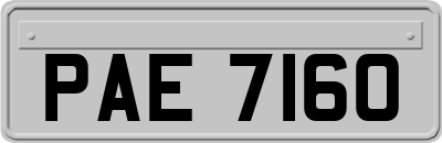 PAE7160