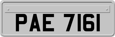 PAE7161