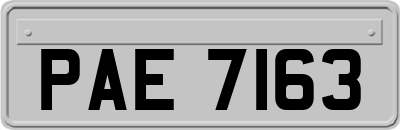 PAE7163