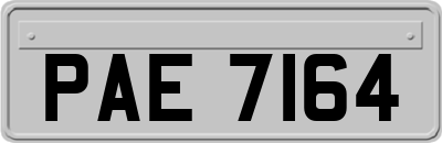 PAE7164