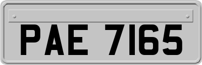 PAE7165