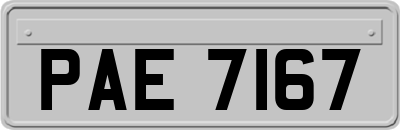 PAE7167