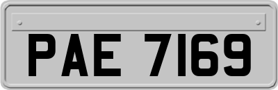 PAE7169