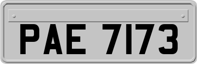 PAE7173