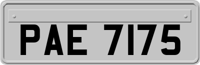 PAE7175