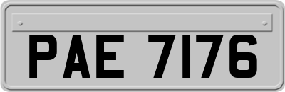 PAE7176