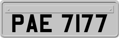 PAE7177