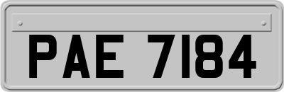 PAE7184