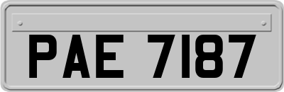 PAE7187