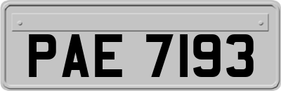 PAE7193