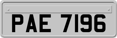 PAE7196