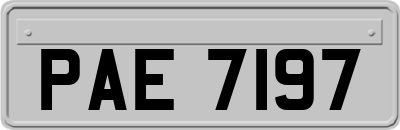 PAE7197