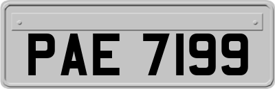 PAE7199