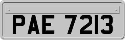 PAE7213