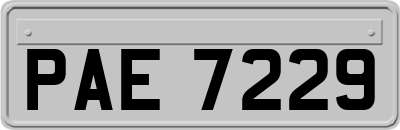 PAE7229