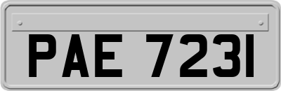 PAE7231
