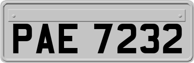 PAE7232