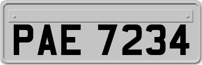 PAE7234