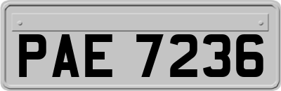 PAE7236