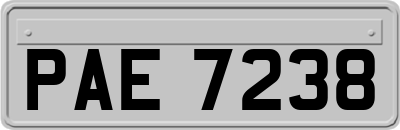 PAE7238