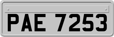 PAE7253
