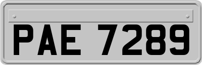 PAE7289