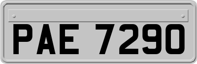 PAE7290
