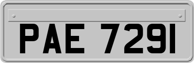 PAE7291