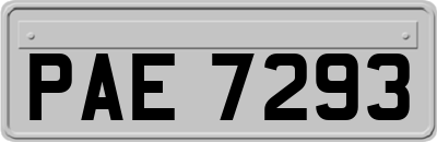PAE7293
