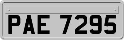 PAE7295
