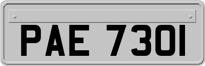 PAE7301