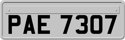 PAE7307