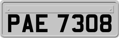 PAE7308