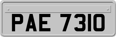PAE7310