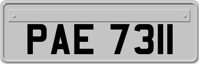 PAE7311
