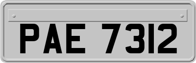 PAE7312