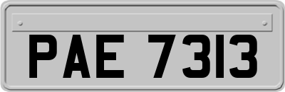 PAE7313