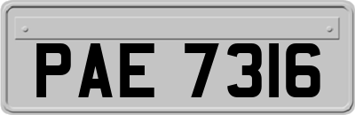 PAE7316