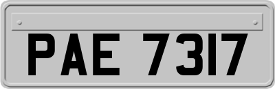 PAE7317