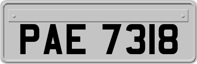 PAE7318