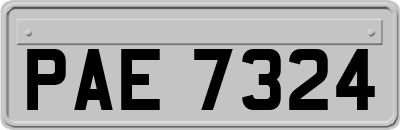 PAE7324