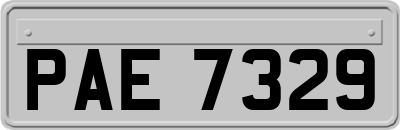PAE7329