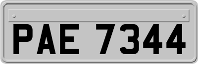 PAE7344