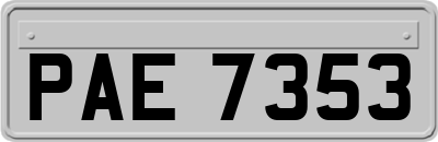 PAE7353