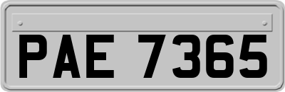 PAE7365
