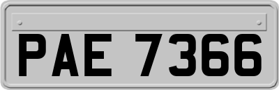 PAE7366