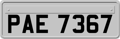 PAE7367