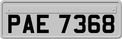 PAE7368