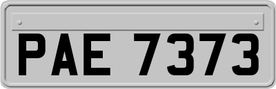 PAE7373