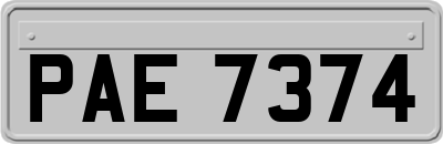 PAE7374
